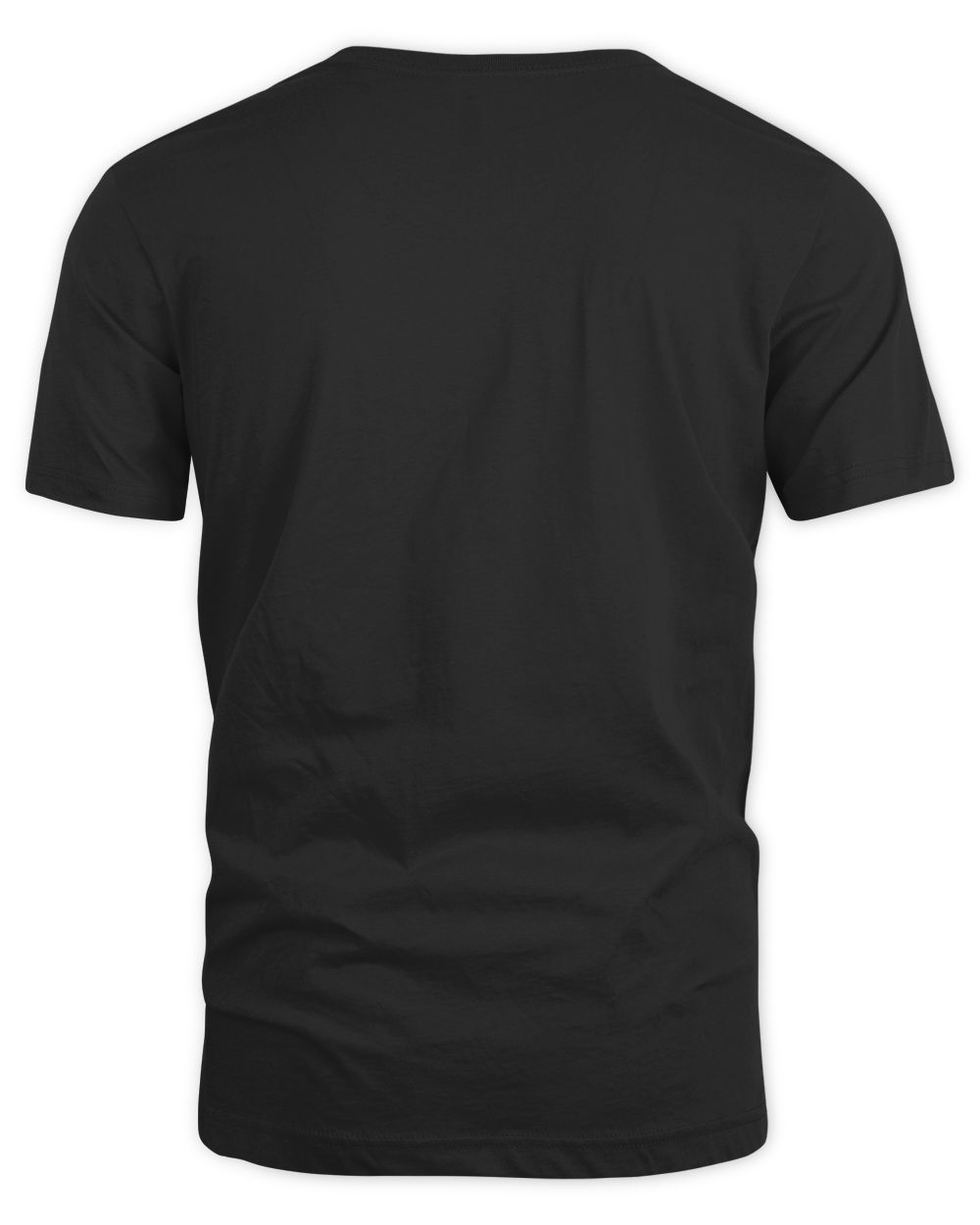 I Got Mooned In Ohio Total Solar Eclipse 2024 Vintage Shirt Unisex Standard T-Shirt black s
